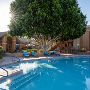 pool view 2