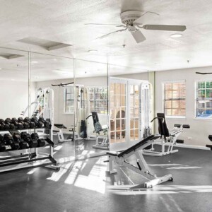 fitness center free weights