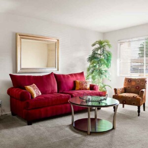 living room view