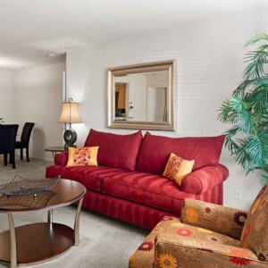 living dining room view