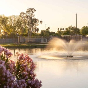 Pond View