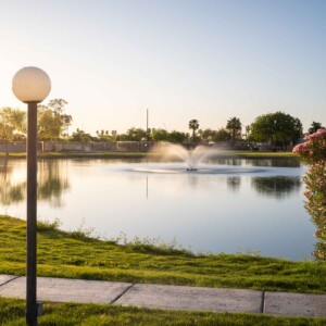 Green area by lake