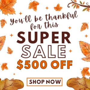 $500 off when you look and lease