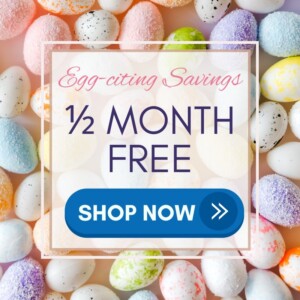 1/2 month free