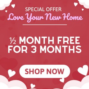 1/2 month free for 3 months